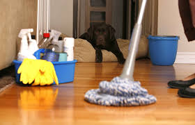 افضل شركات تنظيف المنازل بالرياض